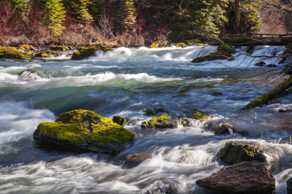 The Deschutes River-0966.jpg